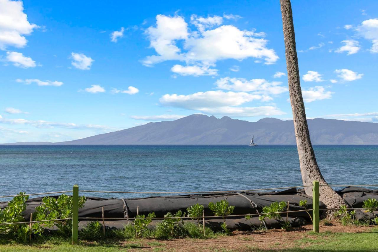カハナ Incredible Beachfront 1Br - Sleeps 4 Awesome Location And In The Center Of Restaurants Many Beaches Golf And Moreヴィラ エクステリア 写真