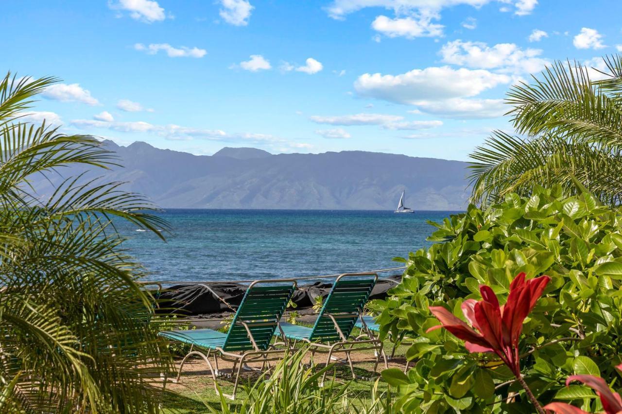 カハナ Incredible Beachfront 1Br - Sleeps 4 Awesome Location And In The Center Of Restaurants Many Beaches Golf And Moreヴィラ エクステリア 写真